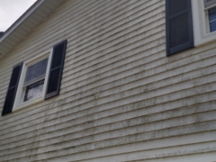 vinyl siding, after cleaning
