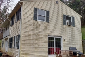 vinyl siding, before cleaning