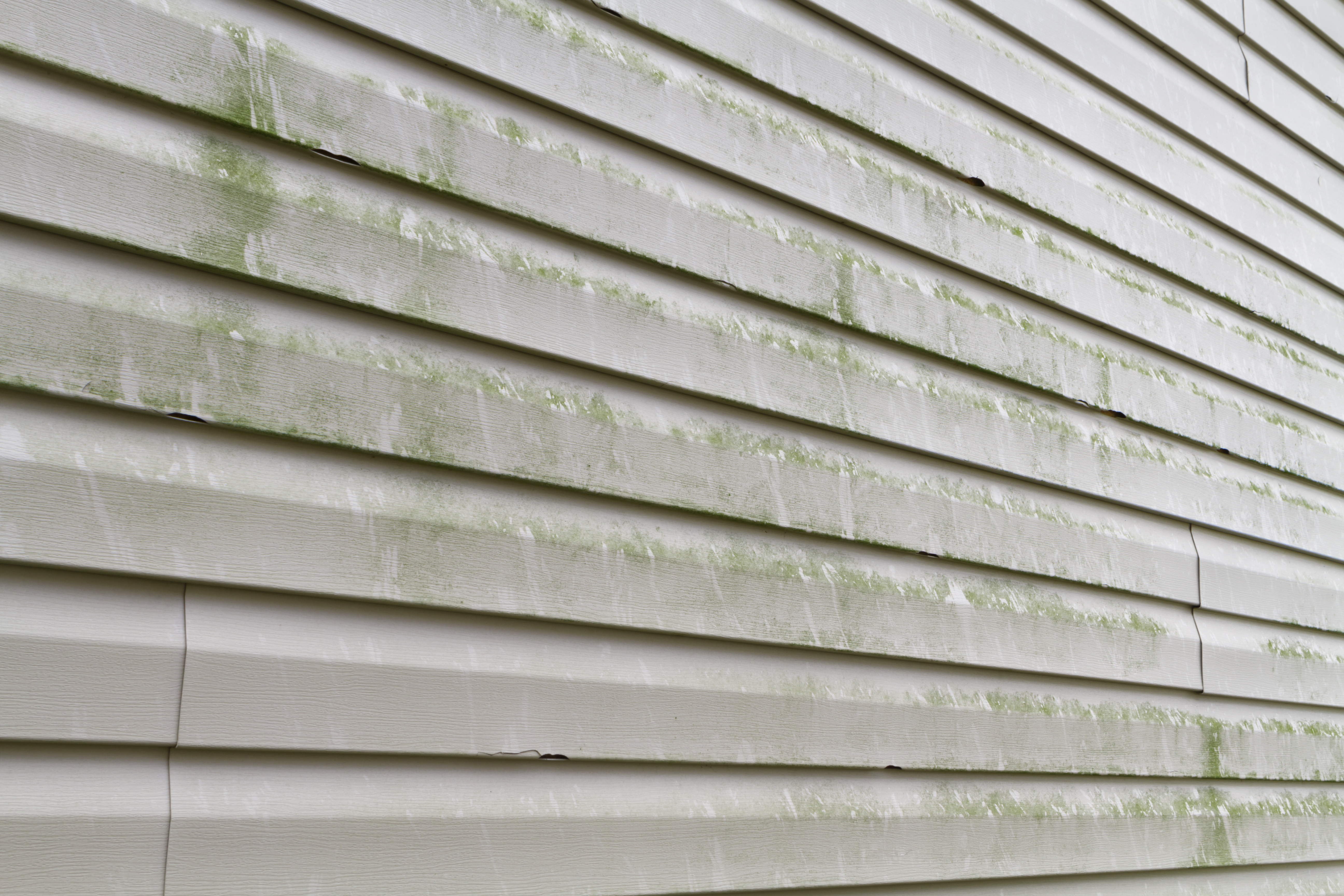 how to prevent mold and mildew outdoors