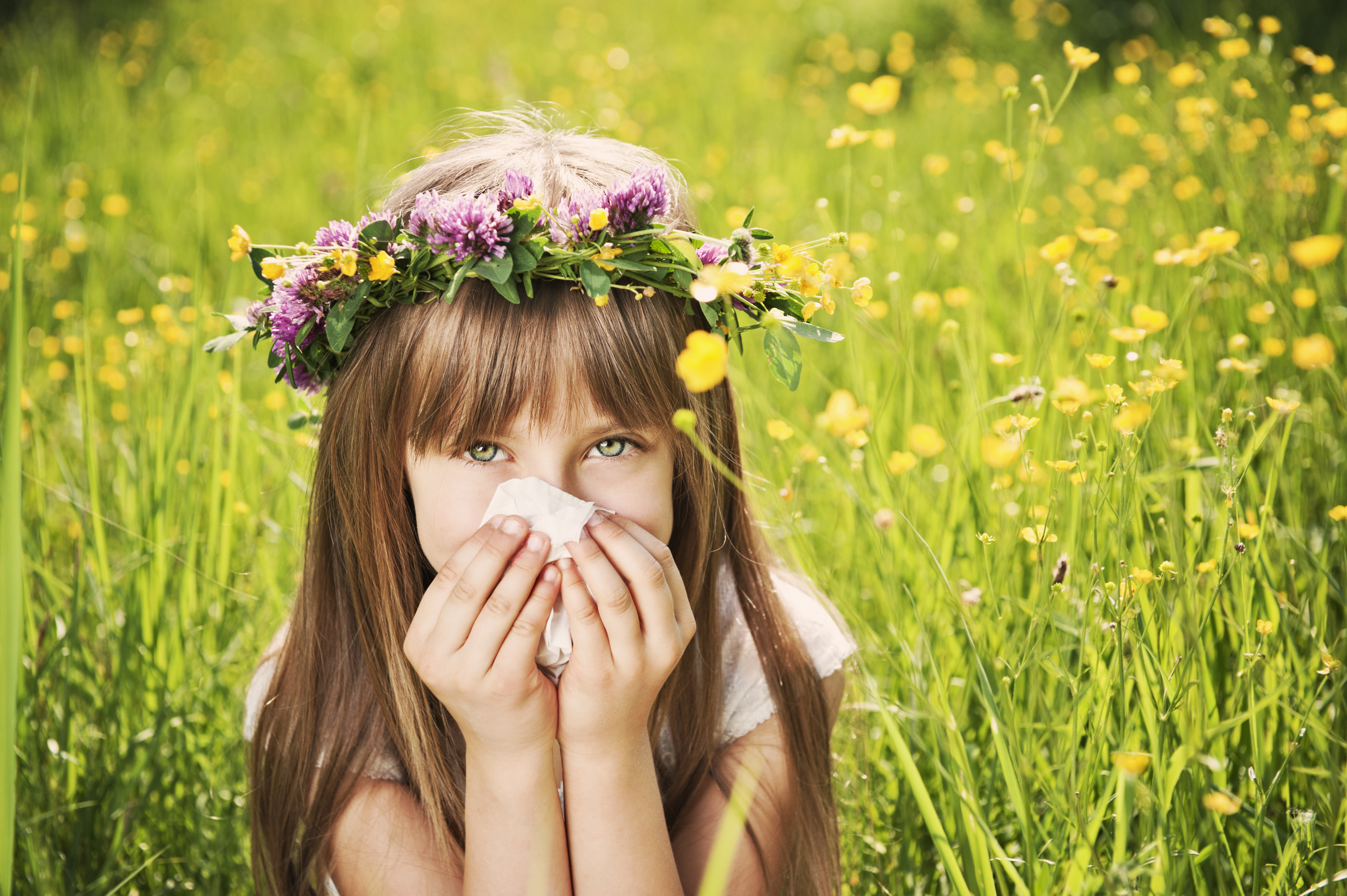 how to prepare for spring allergies